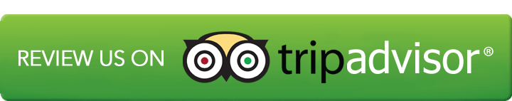 tripadvisor review us